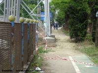 Imagine atasata: Extindere troleibuz Calea Lipovei - 2015.05.28 - 02.jpg